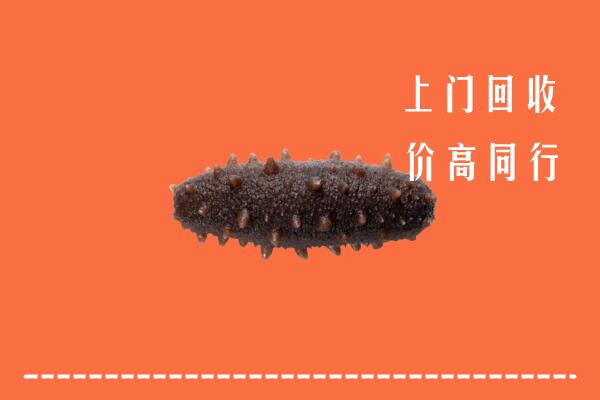 沈阳市回收海参